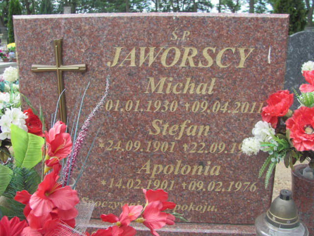 Apolonia Jaworska 1901 Dąbie Pław - Grobonet - Wyszukiwarka osób pochowanych